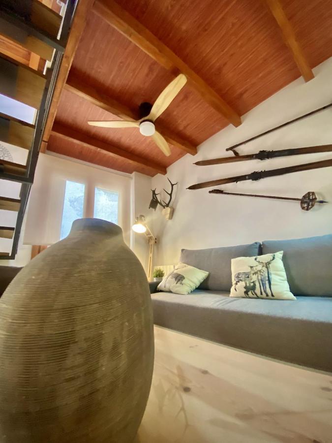 Cal Domenec Rialp - Duplex Con Encanto - Se Admiten Mascotas Exterior foto